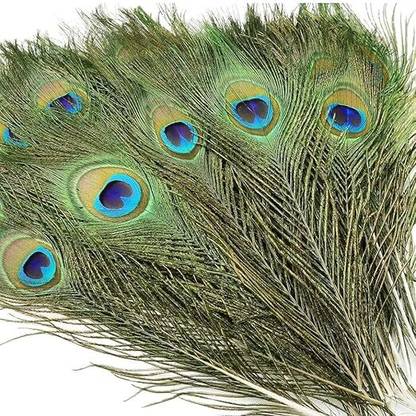 Rajmart Global Pack of 3 Decorative Feathers
