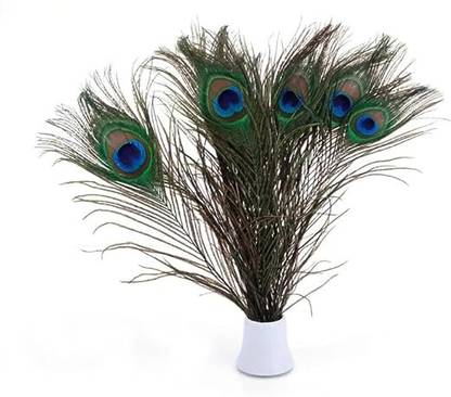 PARNAIRA Pack of 15 Decorative Feathers