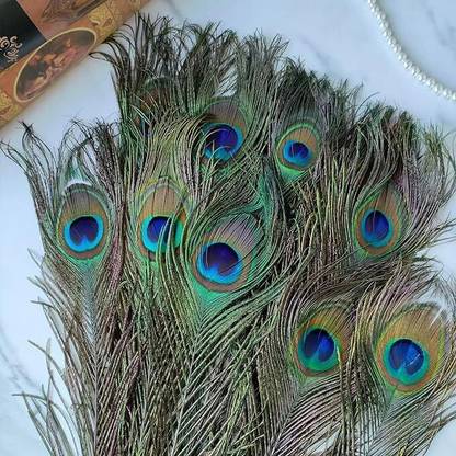 Rajmart Global Pack of 10 Decorative Feathers