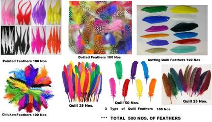 Mighty Pack of 500 Decorative Feathers