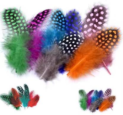 Mighty Pack of 100 Decorative Feathers
