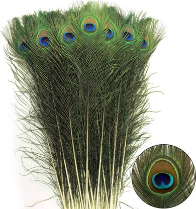Tia Crafts Pack of 20 Decorative Feathers
