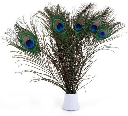 PARNAIRA Pack of 15 Decorative Feathers