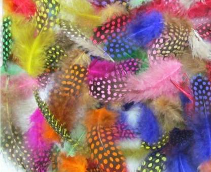 Mighty Pack of 300 Decorative Feathers