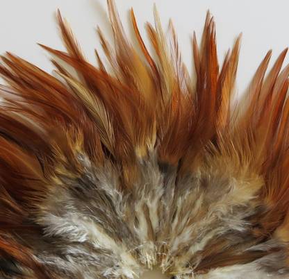 Mighty Pack of 500 Decorative Feathers