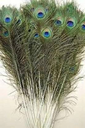 Jari Enterprises Pack of 3 Decorative Feathers