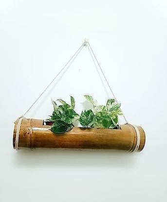 Gachwala Large Bamboo Planter ( 40 to 70 cm ) Wall Hanging Plant Container Set