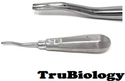 TRU BIOLOGY Bayonet Elevator Dental Instrument Dental Elevator