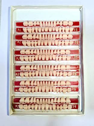 PRAKDENT B-Ton Teeth Set Shade Of 23 Number Dental Elevator