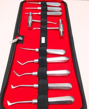 GOLDFINCH Dental Root Elevator Set of 10 Pcs Dental Elevator