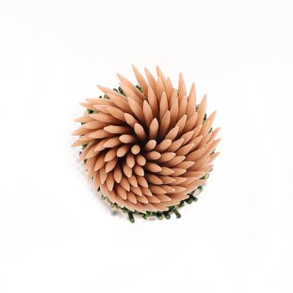 cezliar toothpick bamboo toothpick Table Tooth Picks| Bamboo Wooden Toothpick 300 Sticks