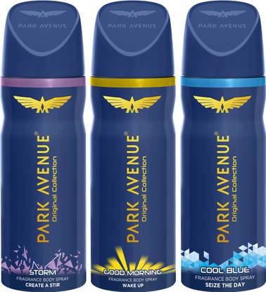PARK AVENUE 1 Storm and 1 Cool Blue and 1 Good Morning Deodorant Combo for Men (Pack of 3) Deodorant Spray  -  For Men