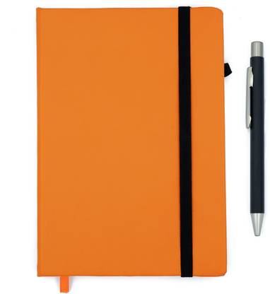 FASTIDIOUS Hardbound Diary A5 Size with Retractable Pen A5 Diary Ruled 176 Pages