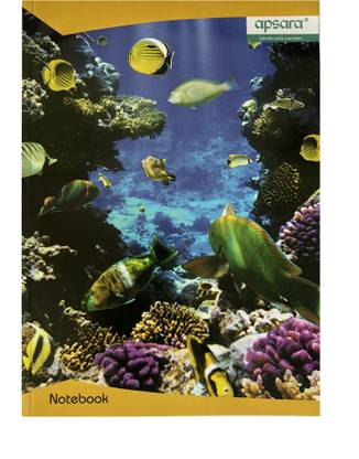 APSARA (29.7 X 21) A4 Note Book Single Line 400 Pages