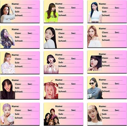 RINKON School Notebook Labels Blackpink (Count 30) School Name Stickers Label Students Regular Note Book Printed 1 Pages