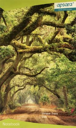 APSARA Long Regular Notebook Single Line(31.4x19.4) 240 Pages