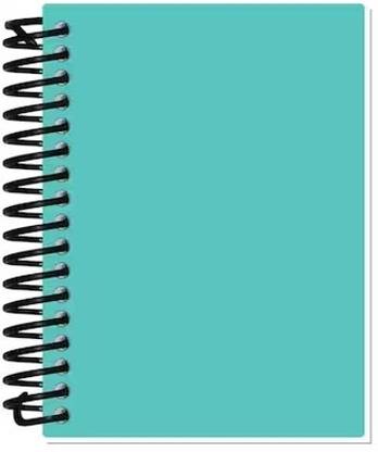 Shree Krishna Recycled Notebook A4 Notebook Ruled 300 Pages