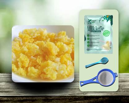 Feelgood Kefir Dehydrated LARGE SIZED Milk Kefir Grains Lifetime Re-usable and Multiplying, Contains 55-60 Active Strains Granules