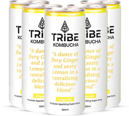 Tribe Kombucha|Weight Management-Detox-Antioxidant|Naturally Sparkling Probiotic Drink Gingerade Drink