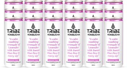 Tribe Kombucha Naturally Sparkling Probiotic Drink|Gut Friendly|Antioxidant, Hydration Lavender Drink
