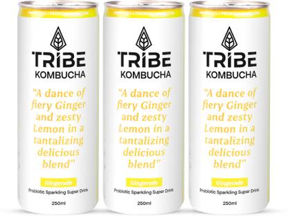Tribe Kombucha Naturally Sparkling Probiotic Drink|Gut Friendly|Antioxidant, Hydration Gingerade Drink