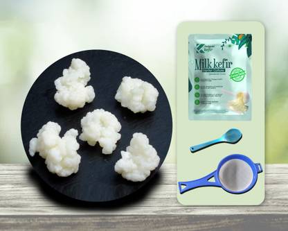 Feelgood Kefir LIVE PREMIUM EXTRA LARGE SIZED Milk Kefir Grains Lifetime Re-usable and Multiplying, Contains 55-60 Live & Active Strains Granules