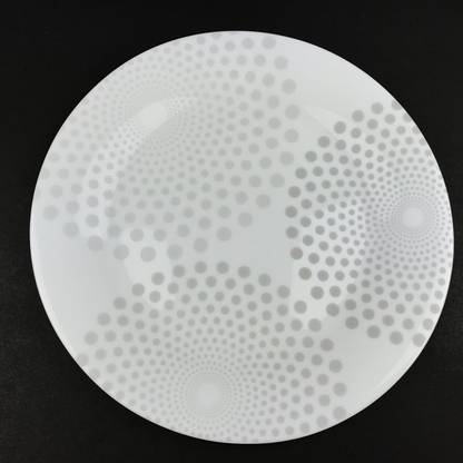 ASSOCIATEDAGENC Ceramic Weight Watchers Portion Round Dinner Plates Portion Control 9.5 Inches Dinner Set