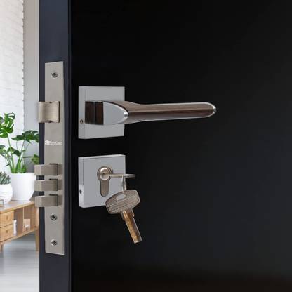 BonKaso Steel Glossy Door knobs