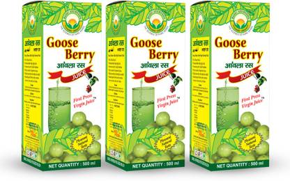Basic Ayurveda Goose Berry Juice(Amla Ras)