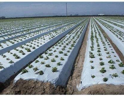 Bhagirath Micron Mulching Film/Mulching (Width-1 Meter) -400 Meter (20 Micron) Drip Irrigation Kit