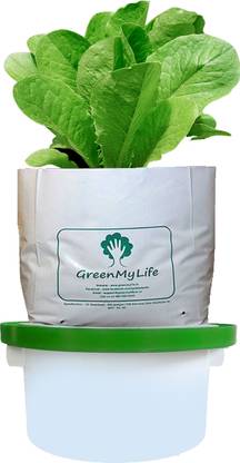 Evergreenagro Wick Irrigation System Plant Container Set