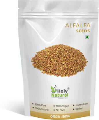 Holy Natural Alfalfa Seeds - 100 GM Alphalpha Seeds