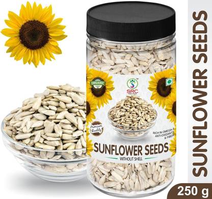 SRC Sunflower Seeds without shell 250 gram Jar Packing Sunflower Seeds