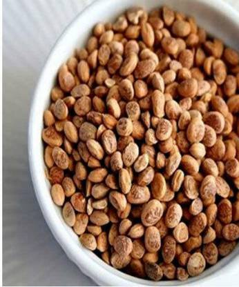 GROCERYONTHEGO Seeds (Chironji, Charoli) 100 Gm Chironji Seeds