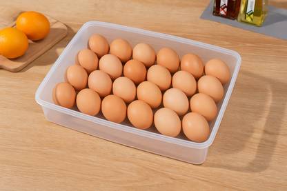 Bee Nest Egg container Egg Holder