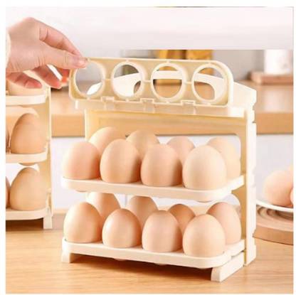 Adhunyk Plastic Egg Container - 2 dozen