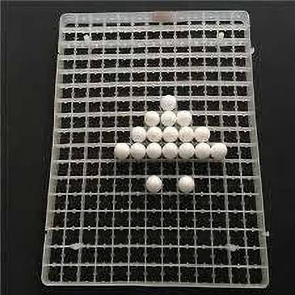 TM&W Eggs Tray for Incubator Hatcher Brooder Poultry for Quail or All Smaller Egg - 10 pieces Spare Part 221x10=2210 (white) Egg Incubator