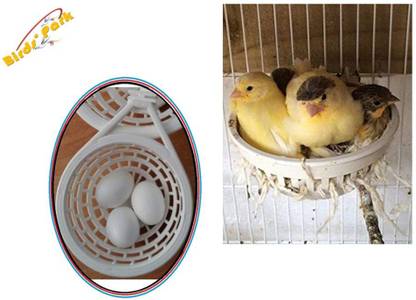 Birds' Park Birds Nest Small Basket Egg Incubator