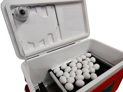 METRO IMPEX Incubator for egg hatching,100 Eggs incubator with humidity display Egg Incubator