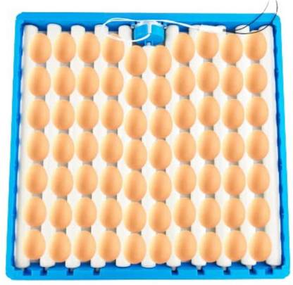 TM&W Poultry farm hatching equipment ac 220V motor 70 egg tray Egg Incubator
