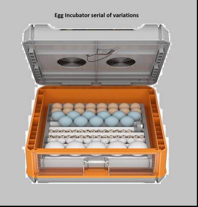 TM&W Automatic Egg Incubator 64 drawer type 12 Volt Battery Egg Hatching Machine' Egg Incubator