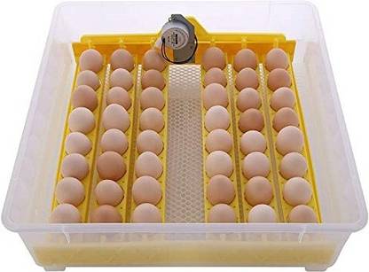 TM&W High quality Small temperature controller for chicken eggs incubator automatic for 48 Egg Incubator egg incubator Egg Incubator
