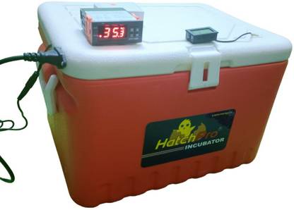 HatchPro 30 eggs fully automatic egg incubator machine for chicken , duck , desi eggs Egg Incubator