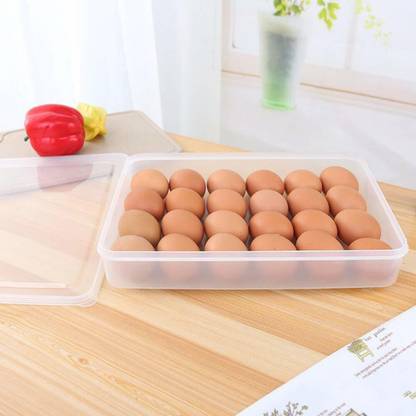 Breewell 24 Grid Egg Storage Box Egg Refrigerator Storage Tray, Stackable Plastic Egg box Plastic Egg Separator