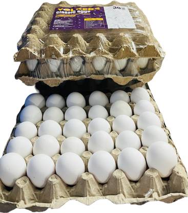 Yolkers Hen White Eggs
