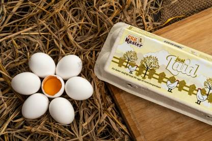 Egg Master  NA Hen White Eggs