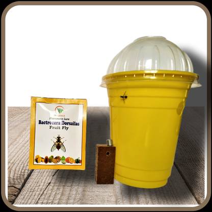 S K Agrotech Bactrocera Dorsailas - frit fly pheromone lure & fruit fly trap (pack of 10) Garden Tool Kit