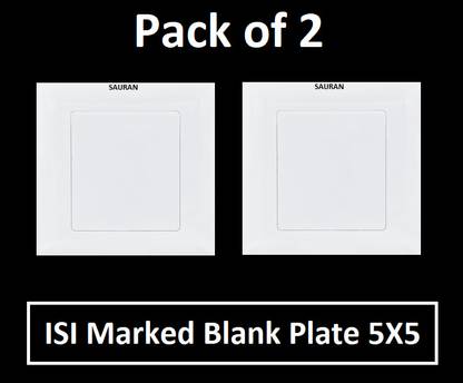 Sauran Pack of 2 (No Switch) Blank Plate 5X5 (EAP44.1) 6 A One Way Electrical Switch