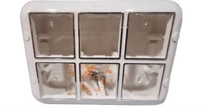 Amp exchange Wall Plate