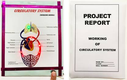 ONTEX ELECTRONICS Circulatory System Biology Working Model Project (Report Included) Educational Electronic Hobby Kit
